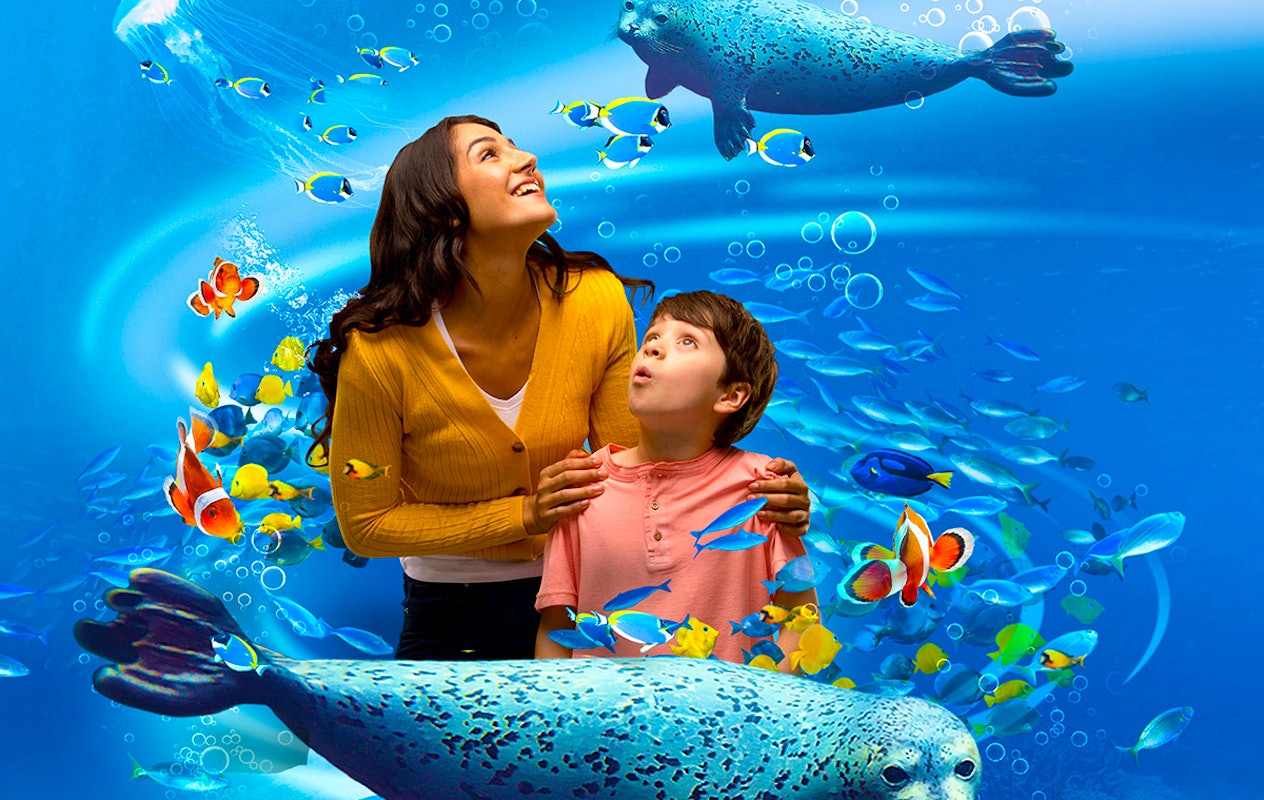 Entreeticket SEA LIFE Blankenberge