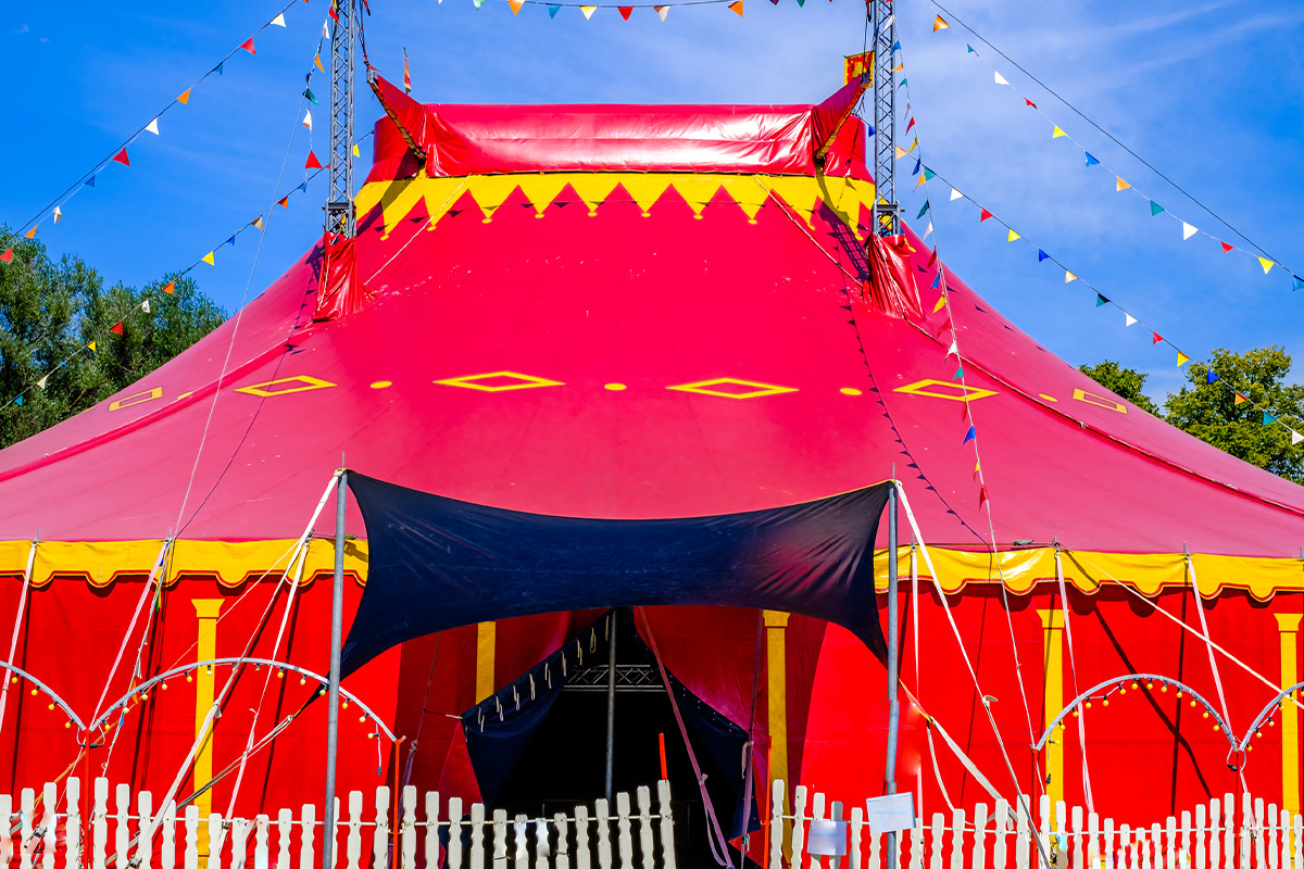 Entreeticket voor het grote Limburgse Sinterklaas circus