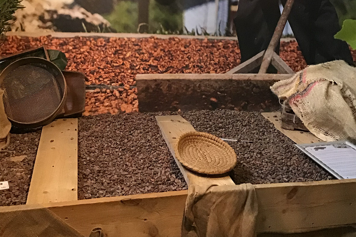 Entreeticket Sjakie's Chocolade Museum