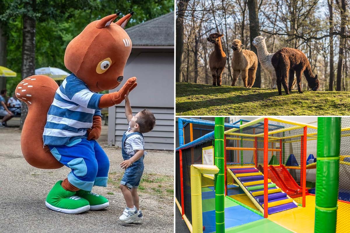 Entreeticket Steinerbos Belevenispark + friet en saus