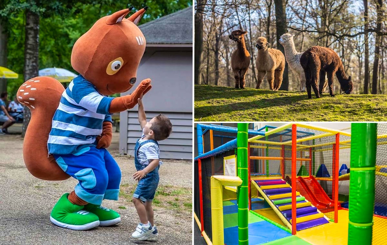 Entreeticket Steinerbos Belevenispark + friet en saus