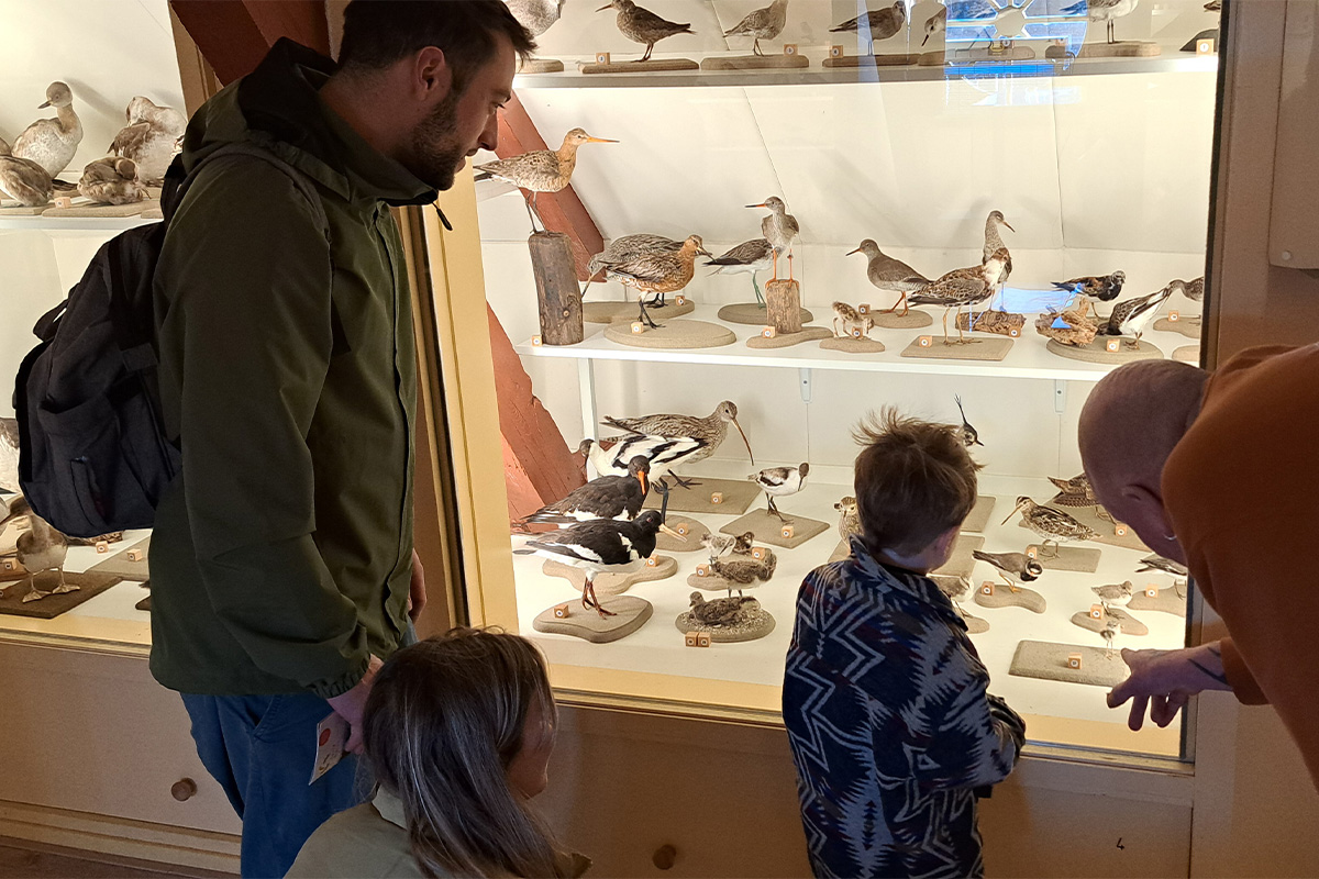 Entreeticket Terra Maris