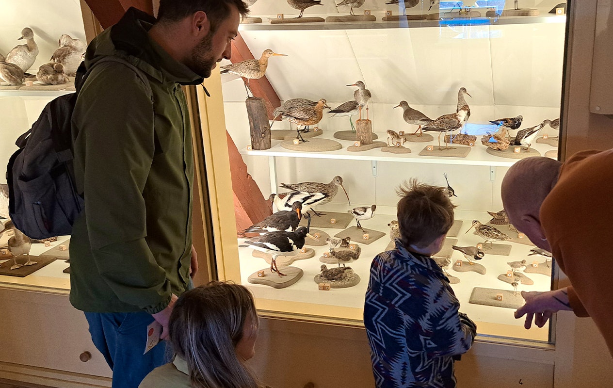 Entreeticket Terra Maris