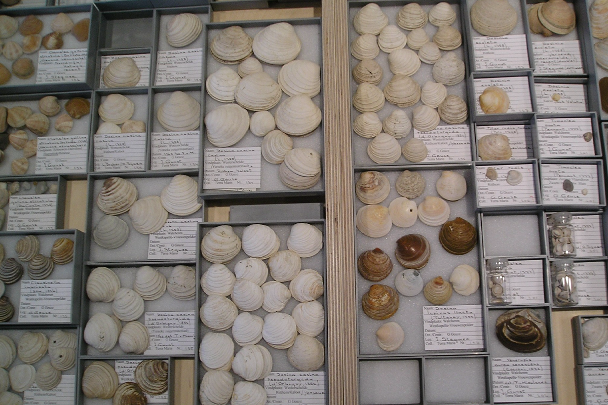 Entreeticket Terra Maris