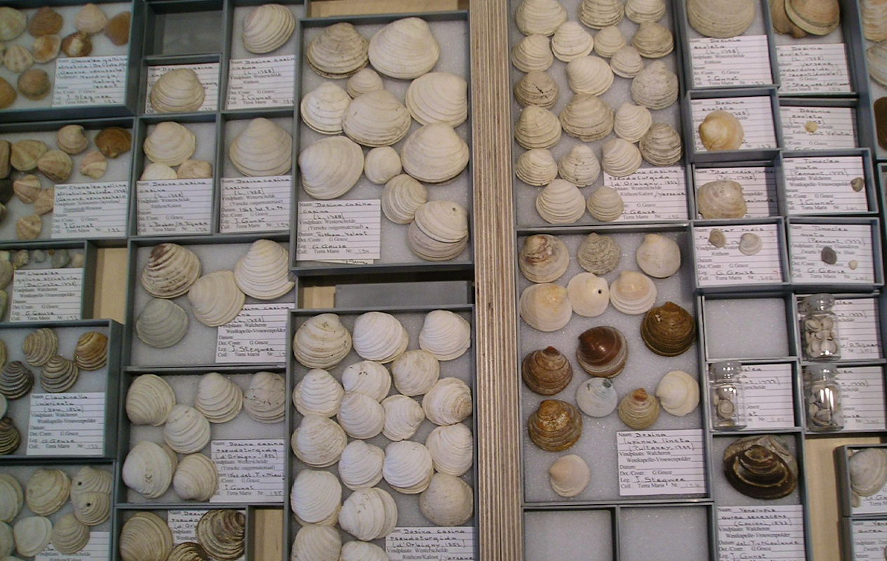 Entreeticket Terra Maris