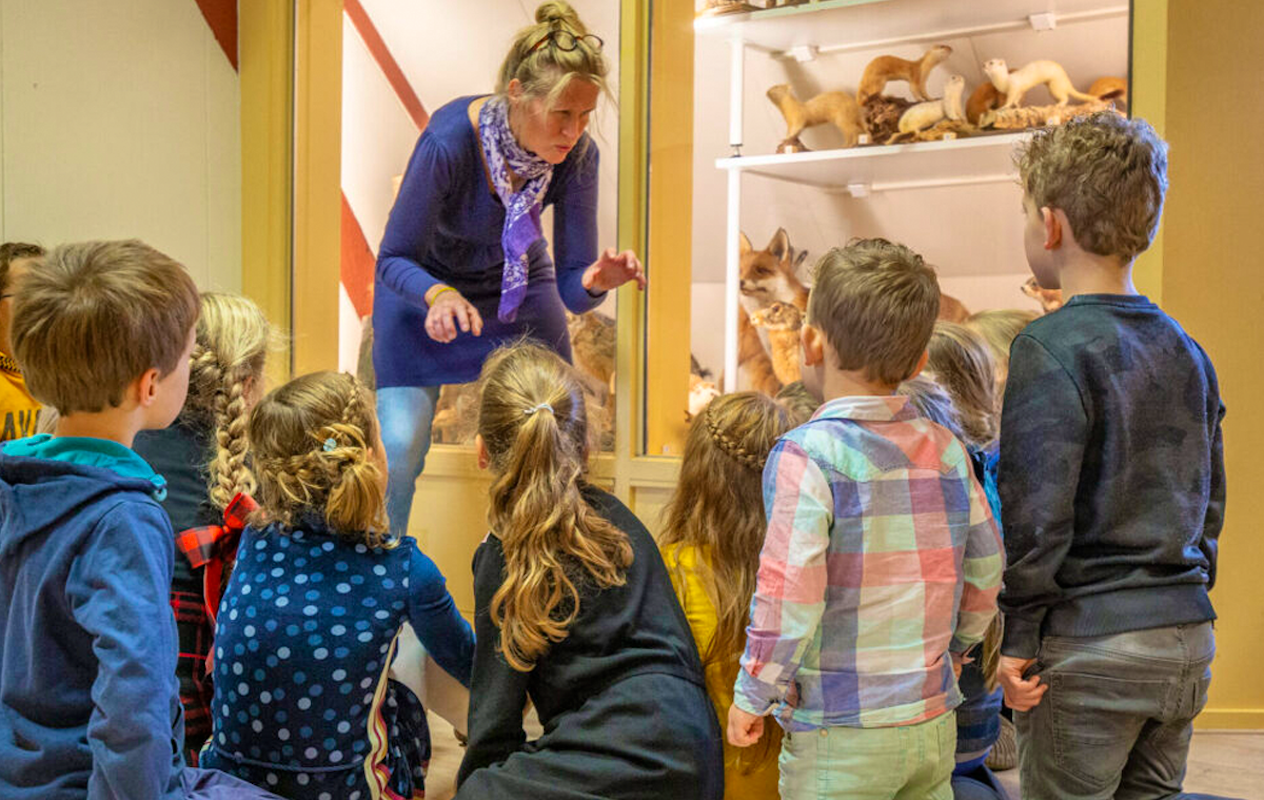 Entreeticket Terra Maris