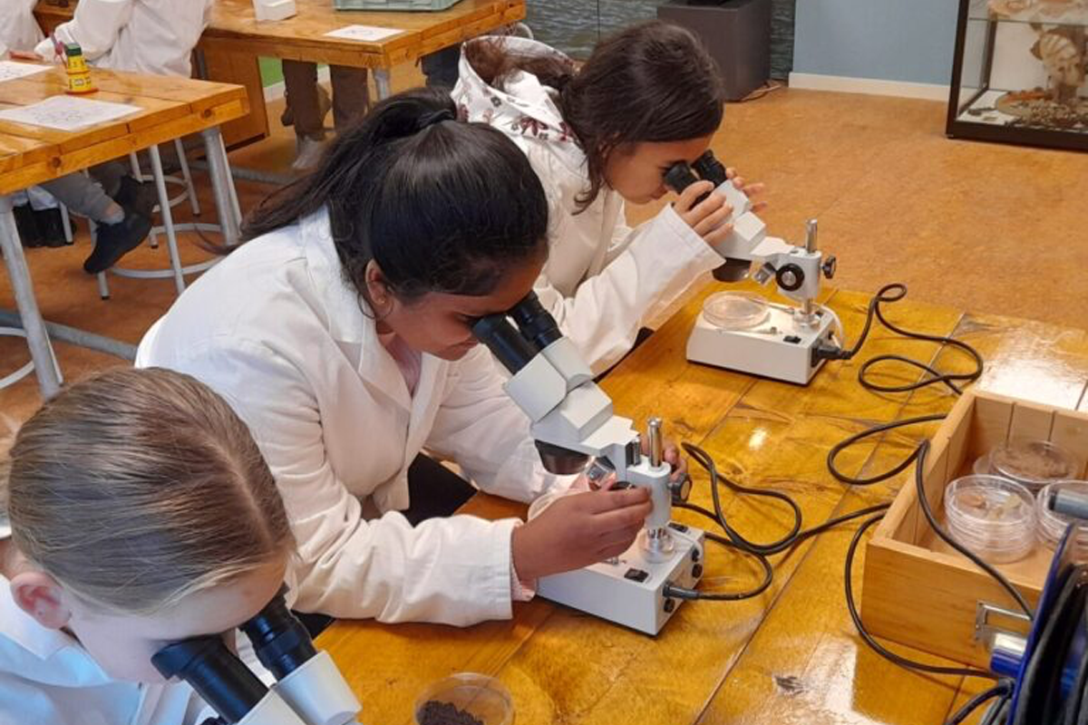 Entreeticket Terra Maris