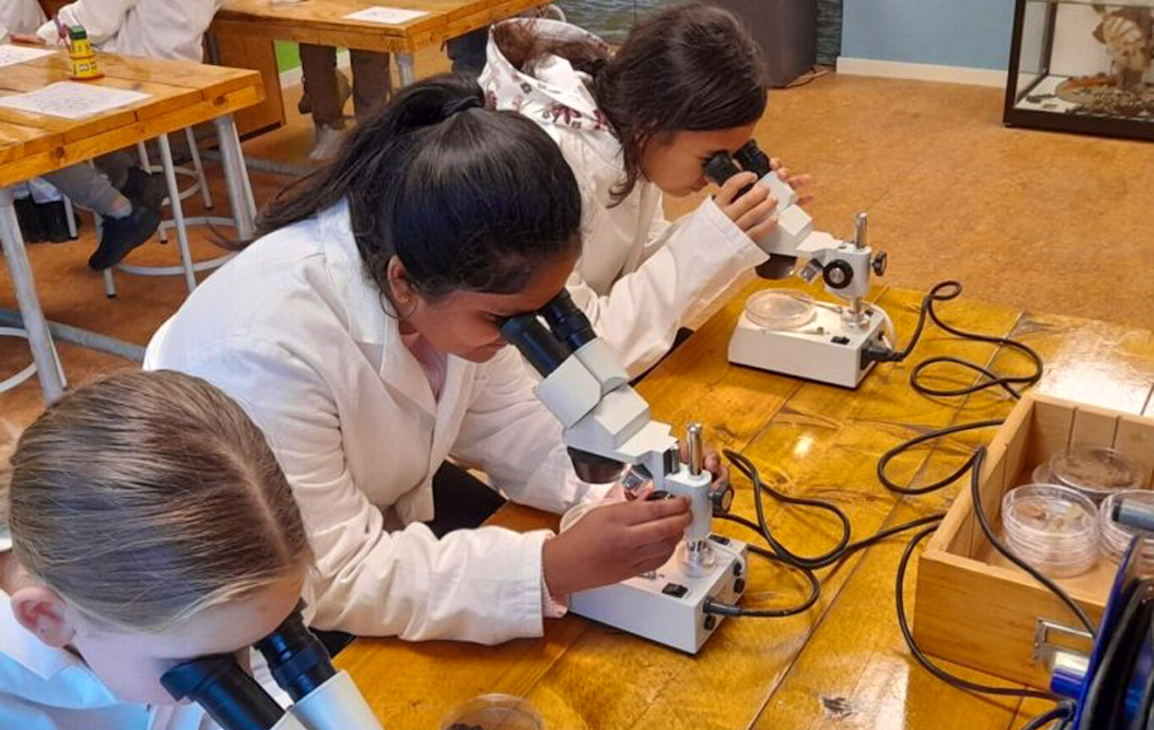 Entreeticket Terra Maris