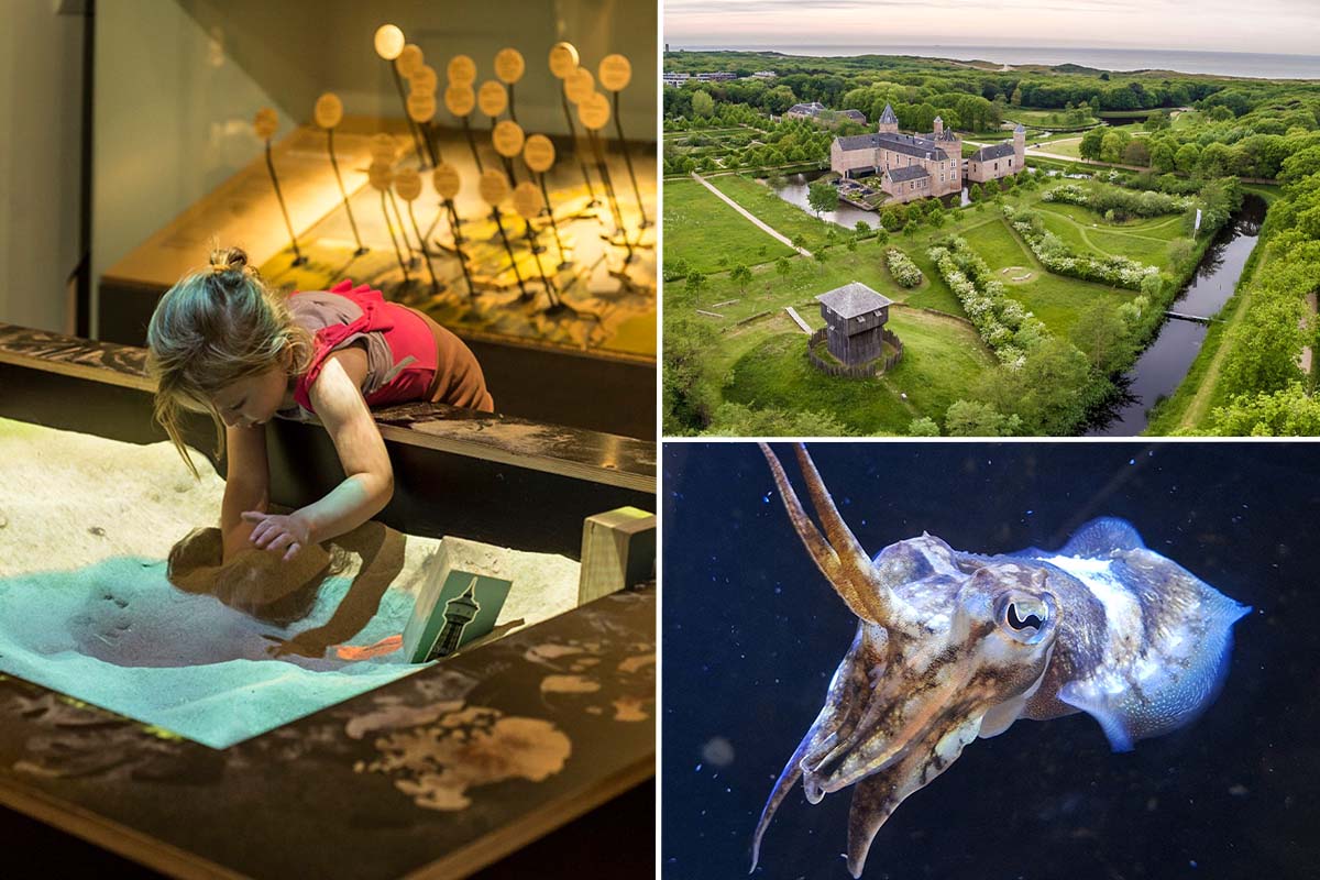 Entreeticket Terra Maris