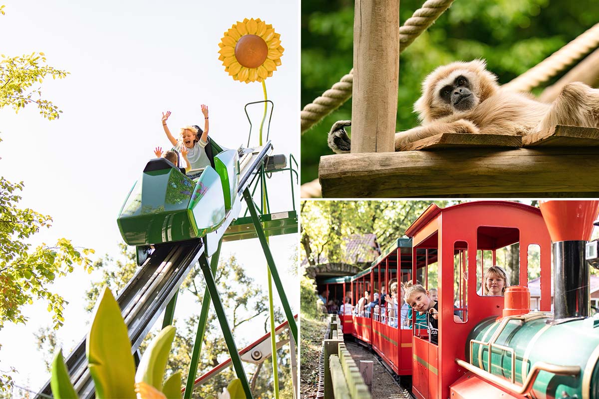 Entreeticket Tier und Freizeitpark Thüle 