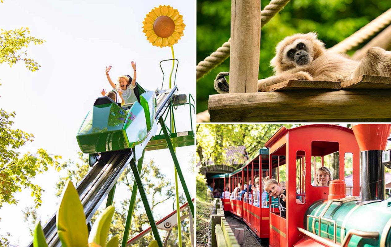 Entreeticket Tier und Freizeitpark Thüle