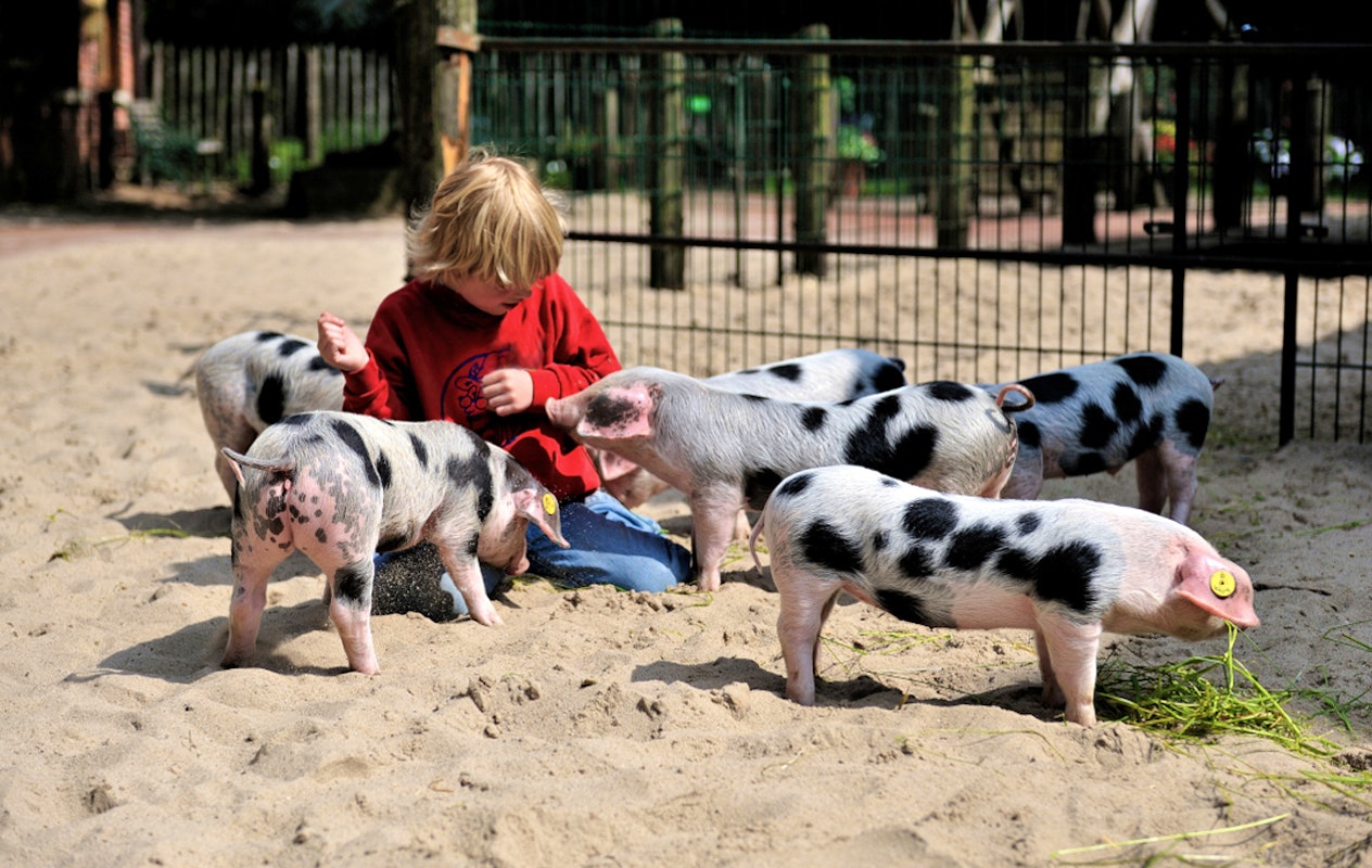 Entreeticket Tierpark Nordhorn