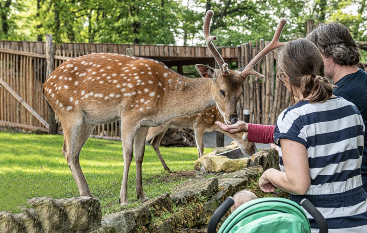 Entreeticket Tierpark Nordhorn
