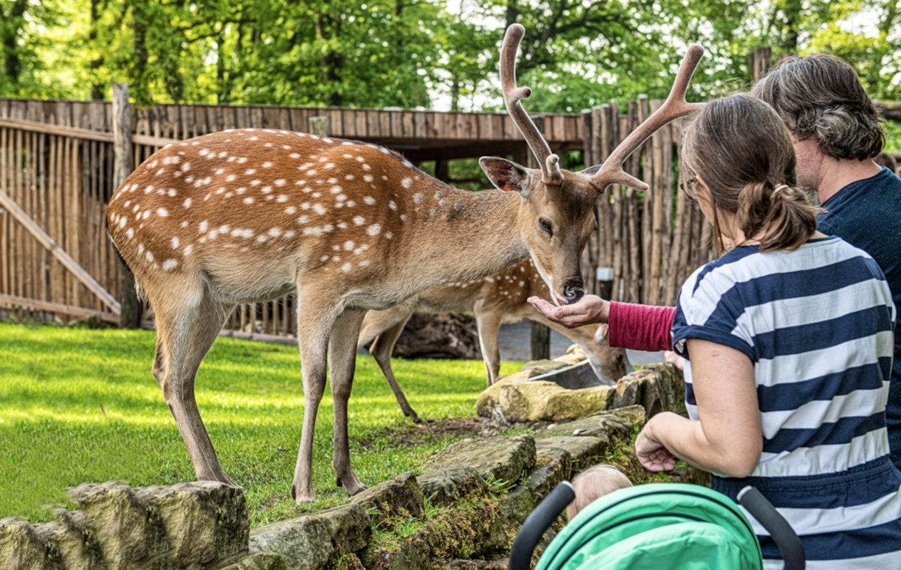 Entreeticket Tierpark Nordhorn