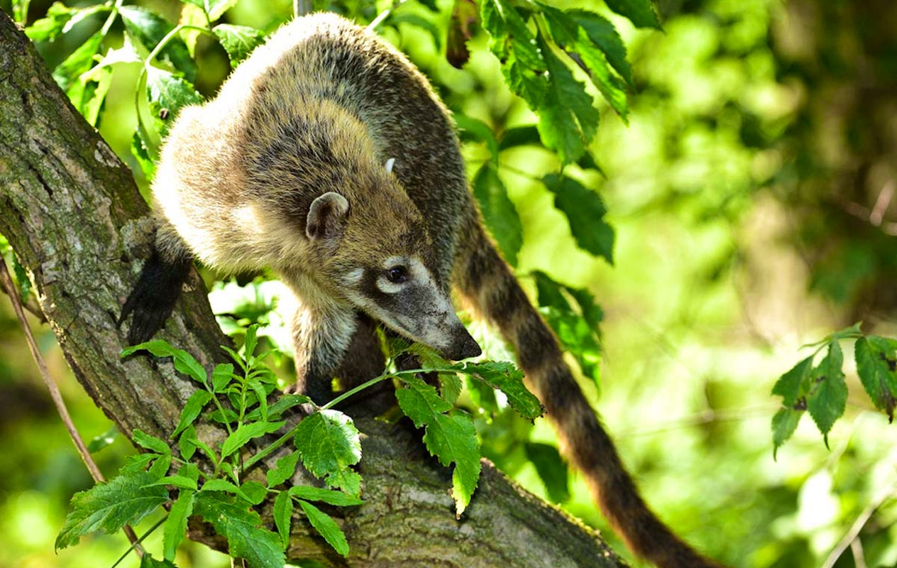 Entreeticket Tierpark Nordhorn