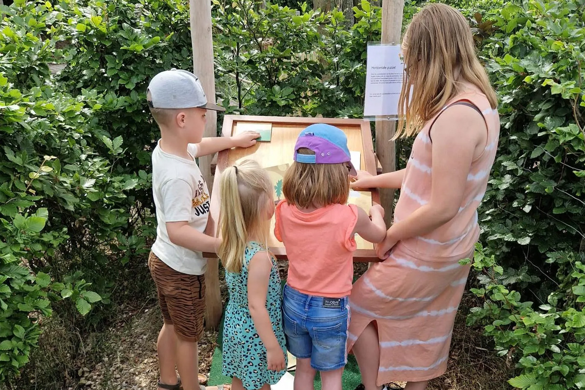 Entreeticket Treasure Island Adventure Doolhof