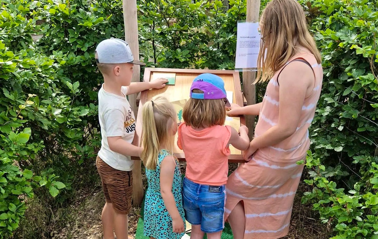 Entreeticket Treasure Island Adventure Doolhof