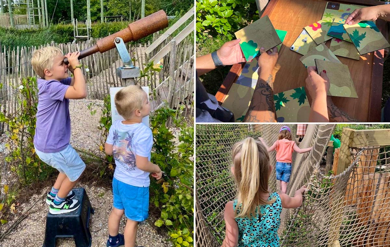 Entreeticket Treasure Island Adventure Doolhof