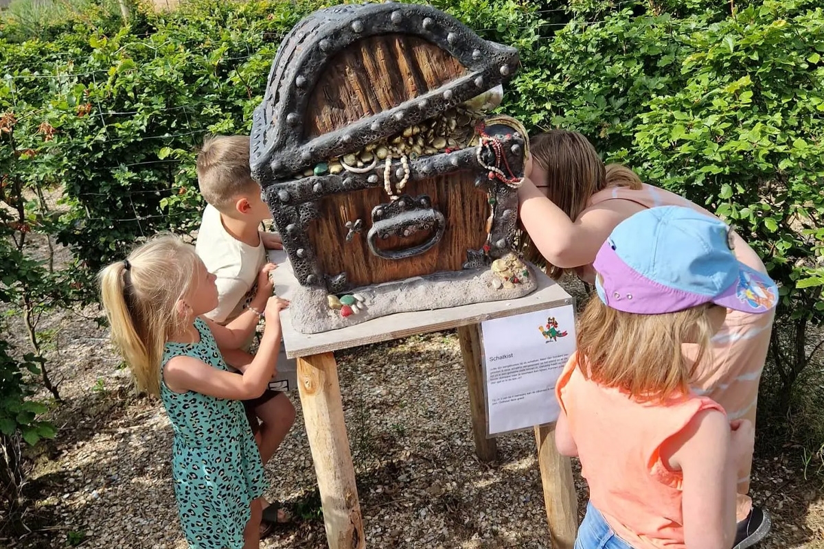 Entreeticket Treasure Island Adventure Doolhof