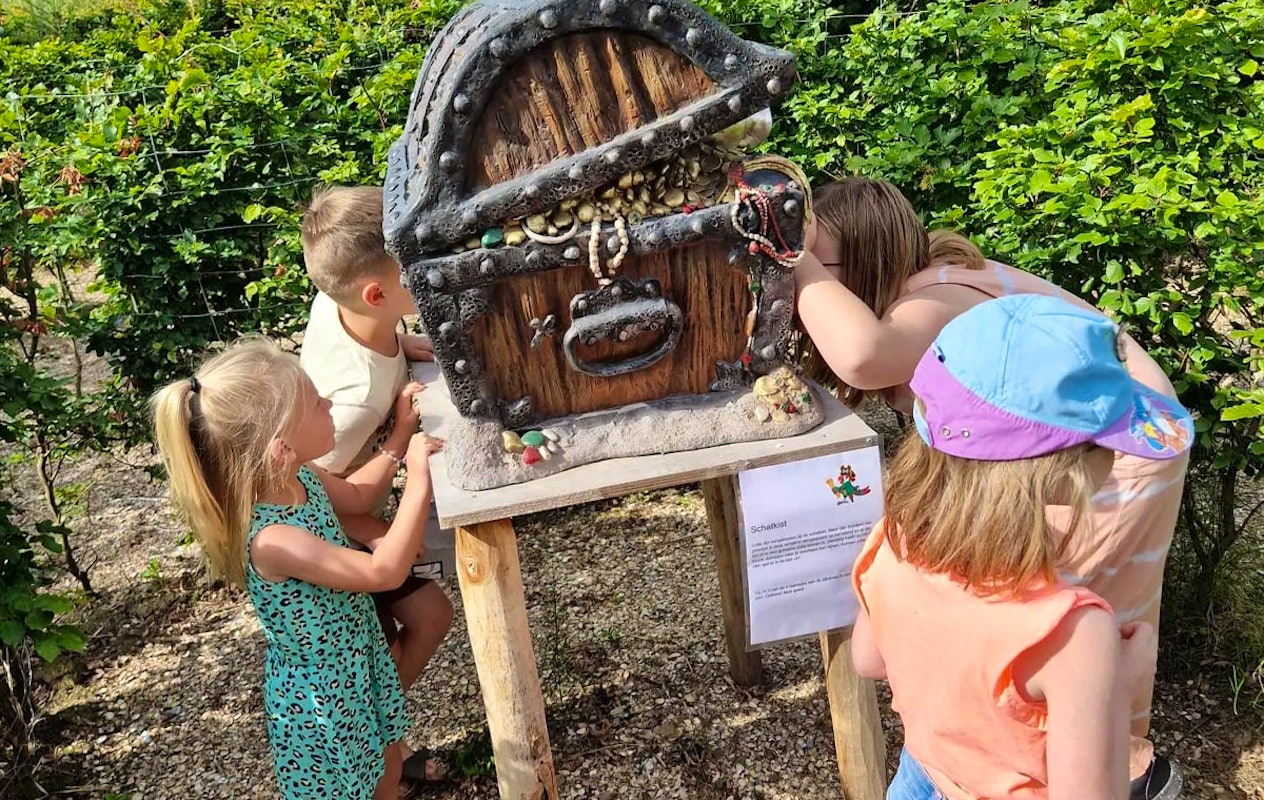 Entreeticket Treasure Island Adventure Doolhof