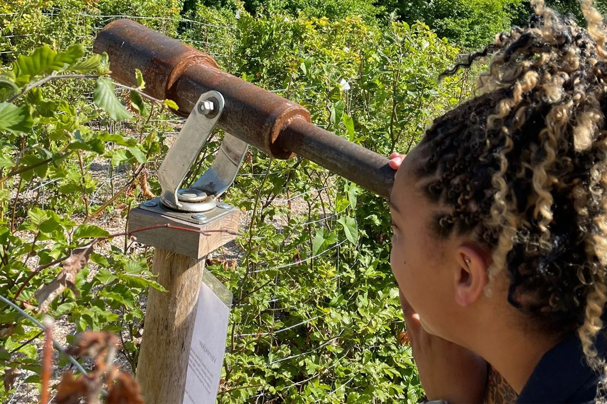 Entreeticket Treasure Island Adventure Doolhof