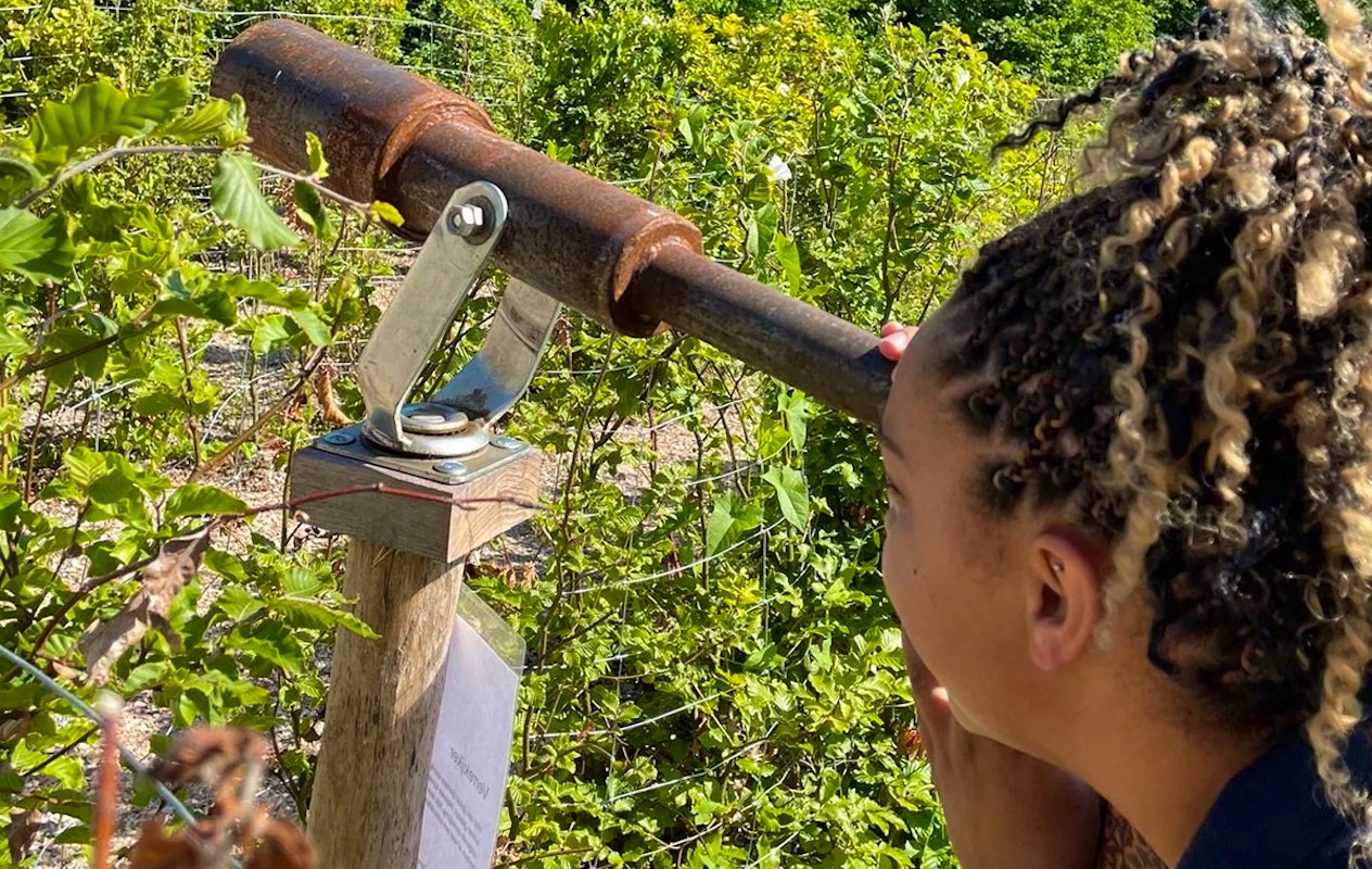 Entreeticket Treasure Island Adventure Doolhof