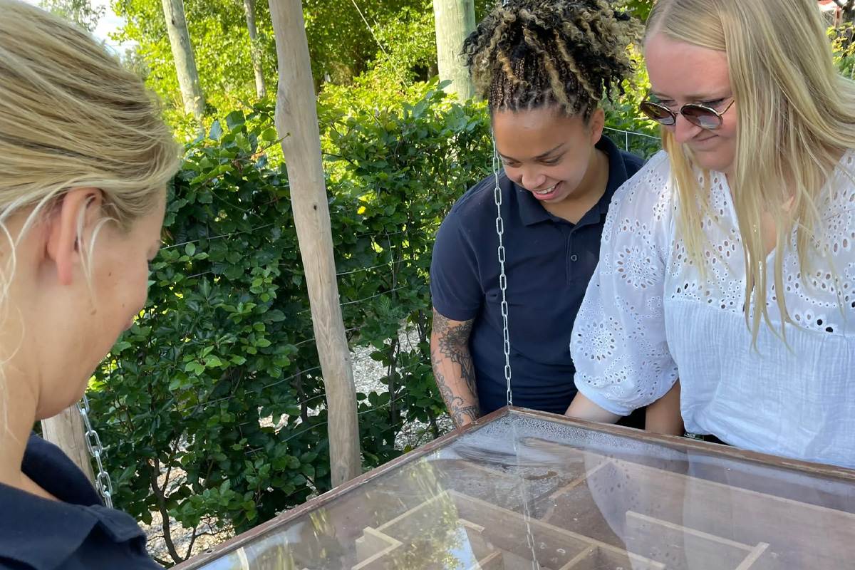 Entreeticket Treasure Island Adventure Doolhof