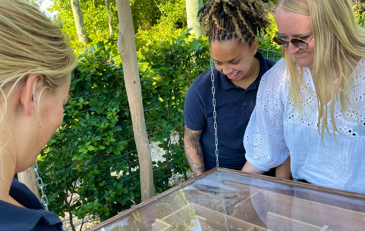 Entreeticket Treasure Island Adventure Doolhof