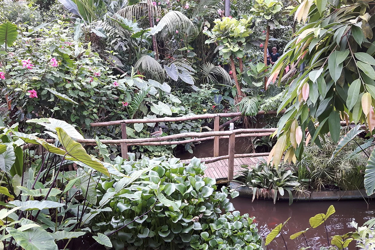 Entreeticket Vlinders aan de Vliet