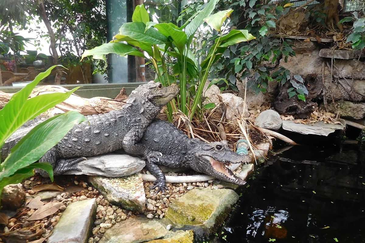 Entreeticket Vlinders aan de Vliet