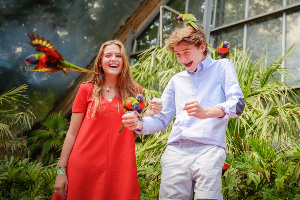 Découvrez le monde des oiseaux au parc d’oiseaux Avifauna!