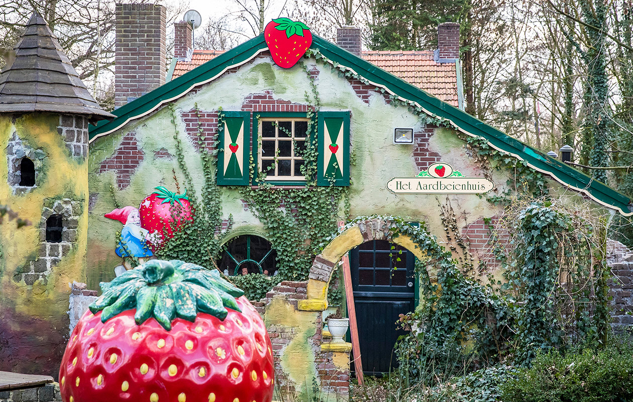 Entreeticket Aardbeienland 