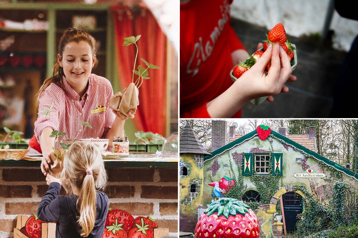 Entreeticket Aardbeienland 