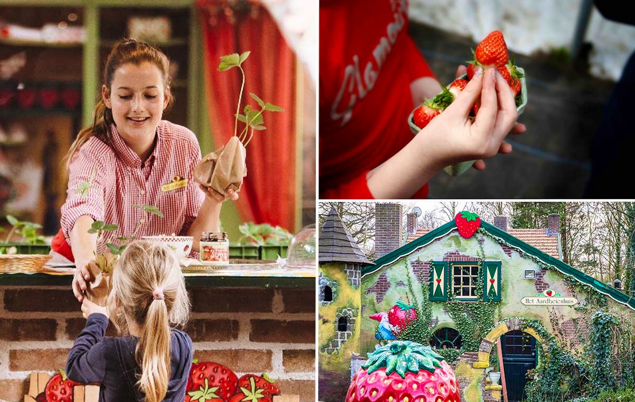 Entreeticket Aardbeienland