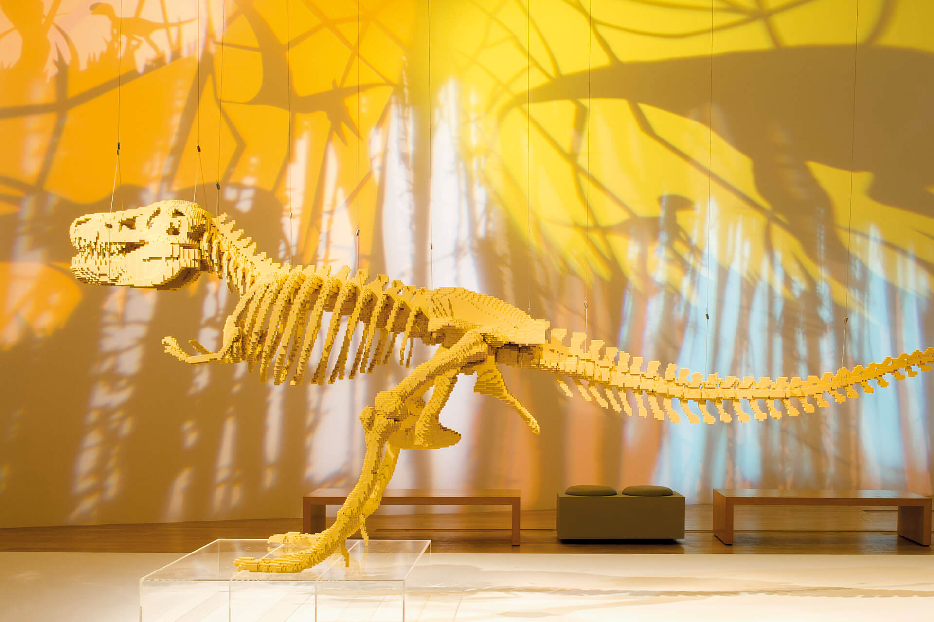 Entreeticket voor Art of the Brick