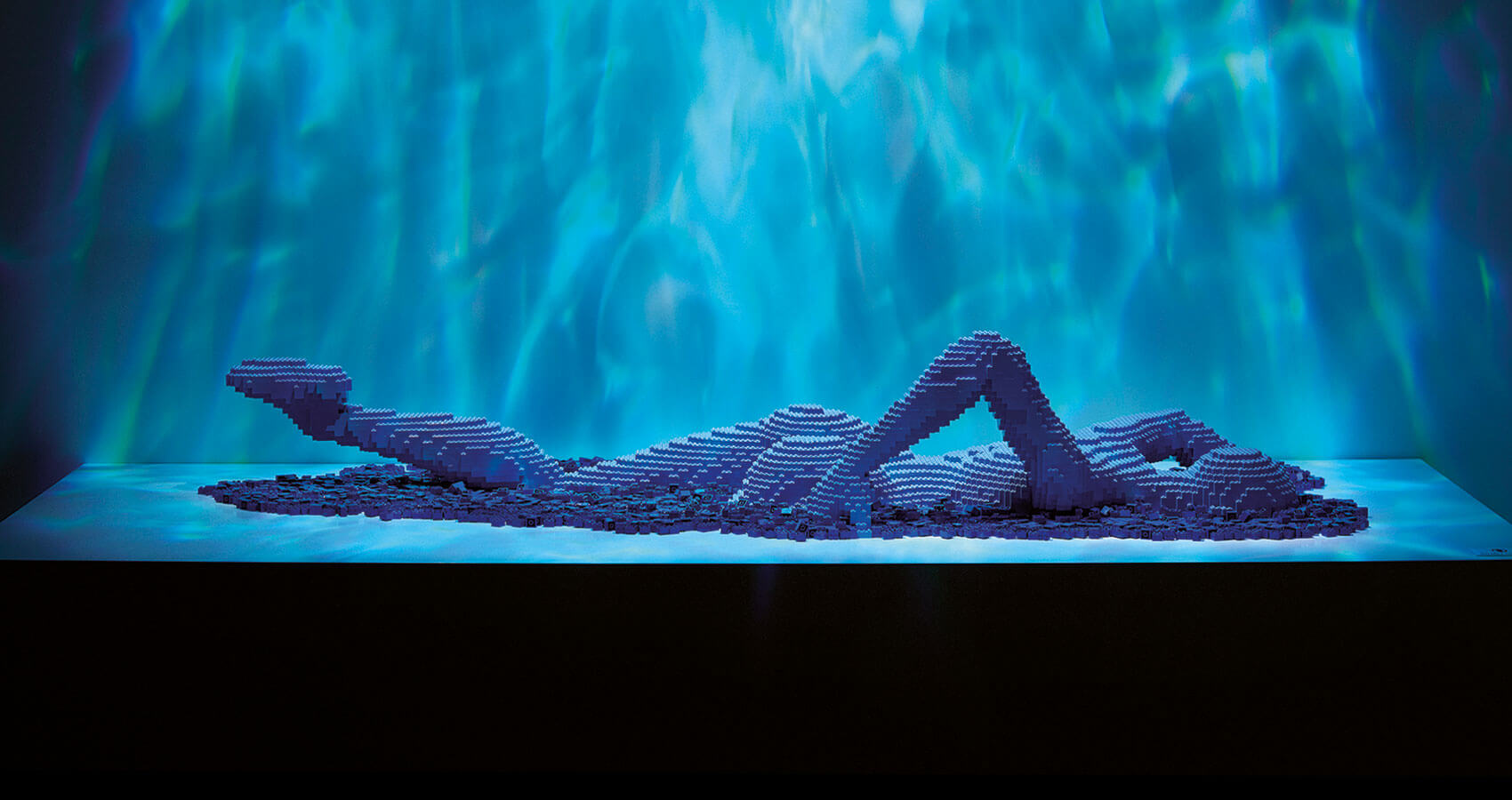 Entreeticket voor Art of the Brick