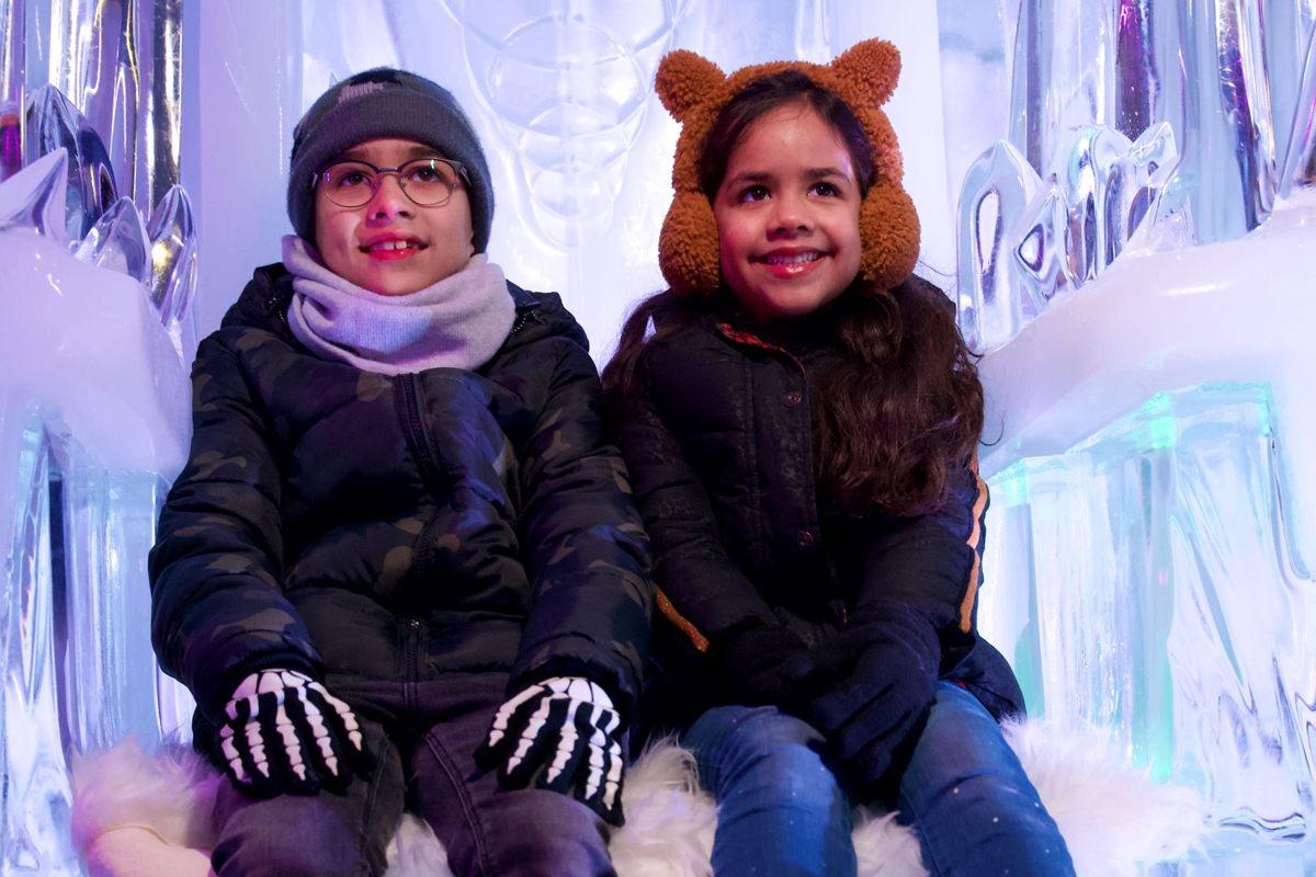 Entreeticket IJsmuseum Icecarving