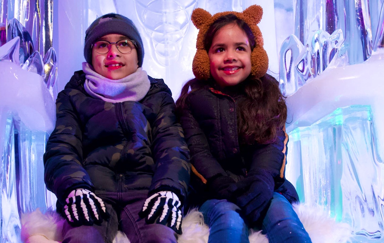 Entreeticket IJsmuseum Icecarving