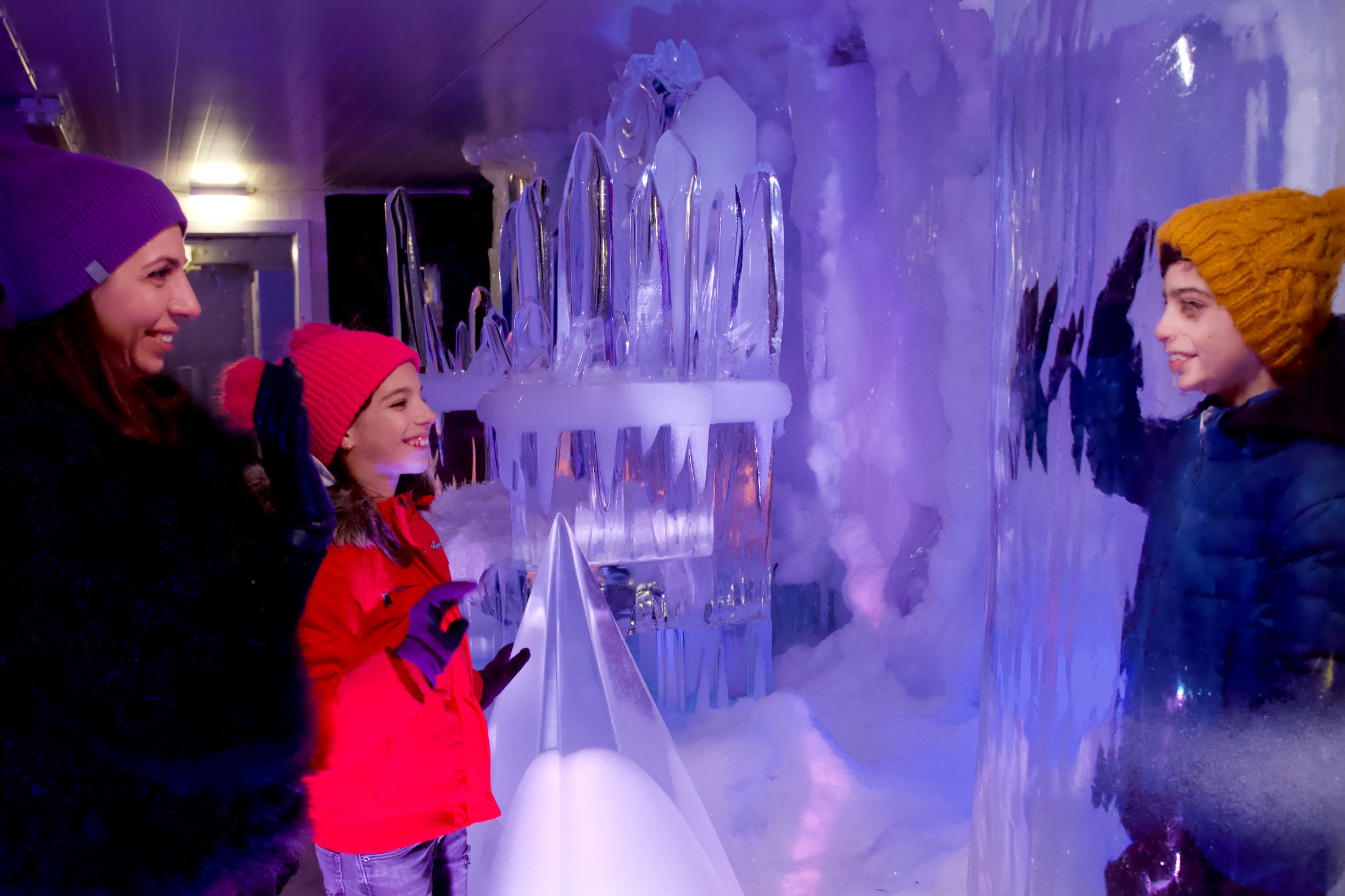 Entreeticket IJsmuseum Icecarving