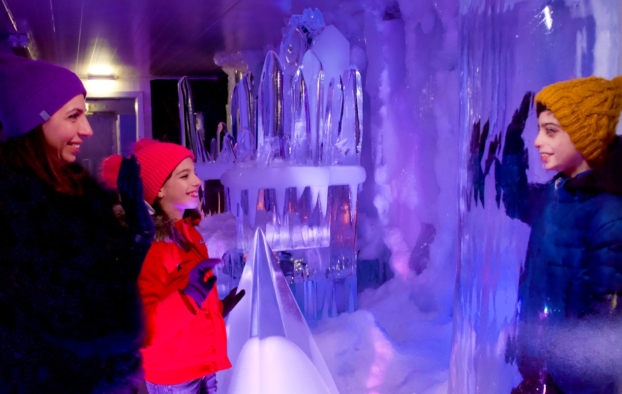 Entreeticket IJsmuseum Icecarving