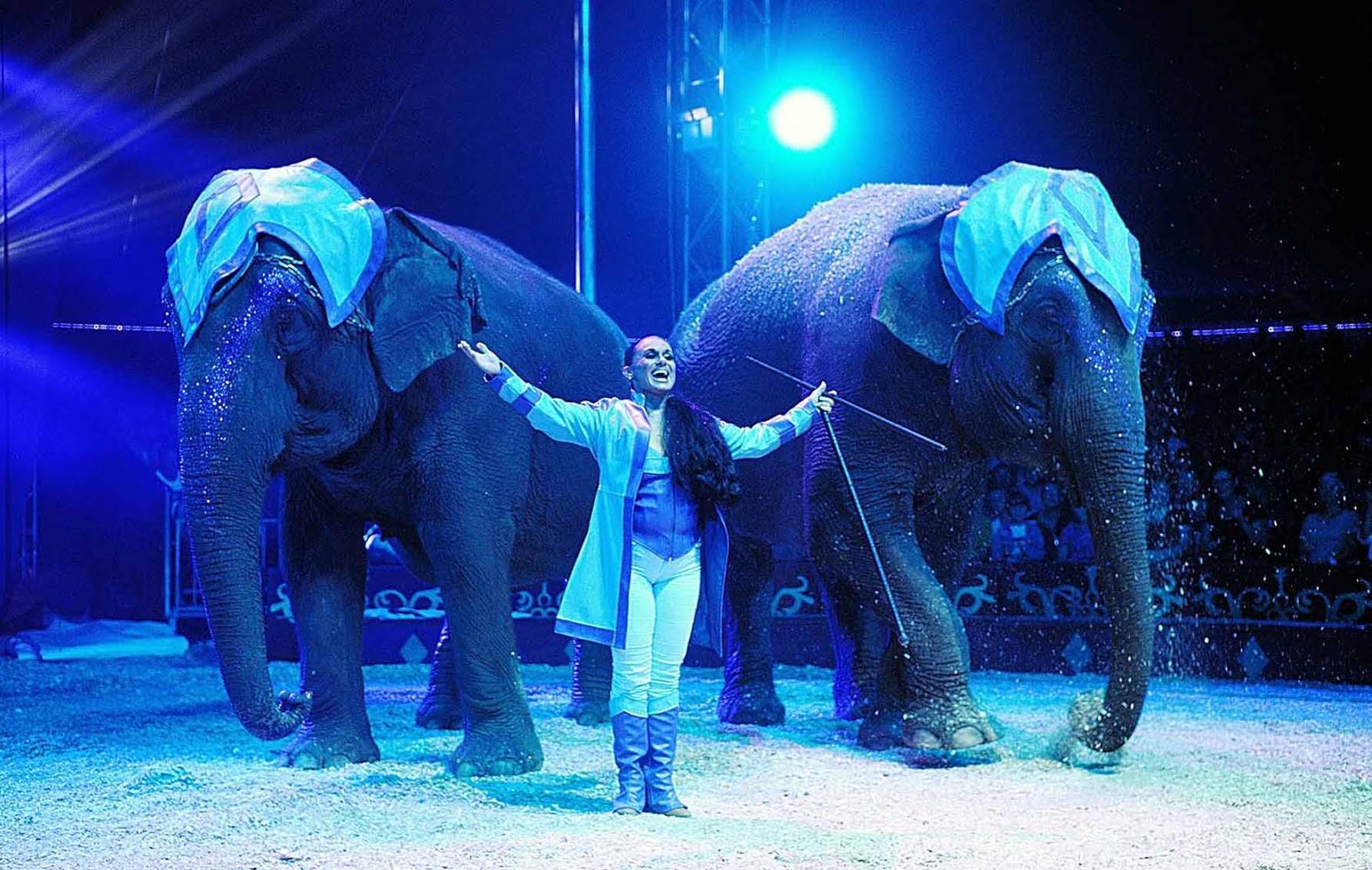 Entreeticket voor Wintercircus Apeldoorn