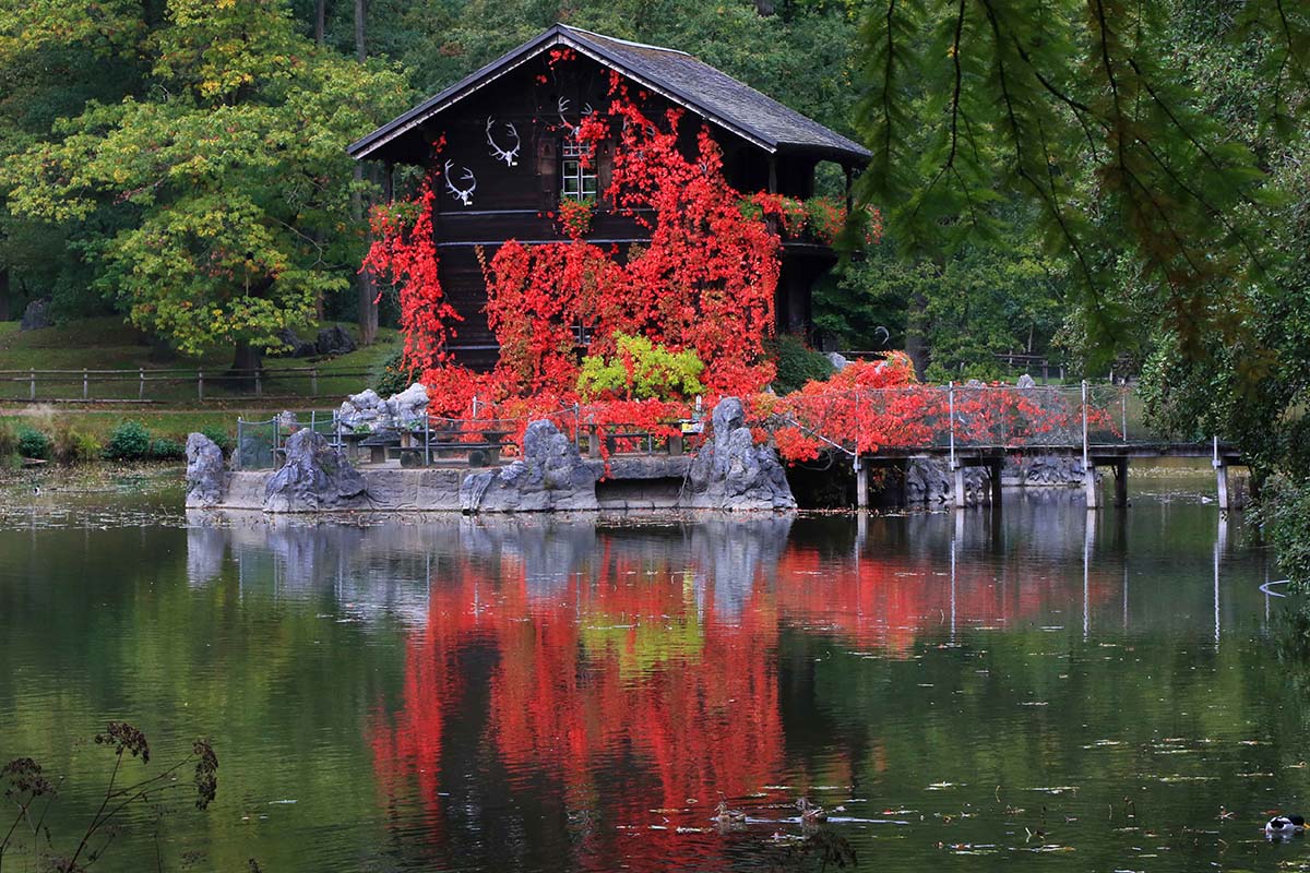 Entreeticket Wildpark Anholter Schweiz