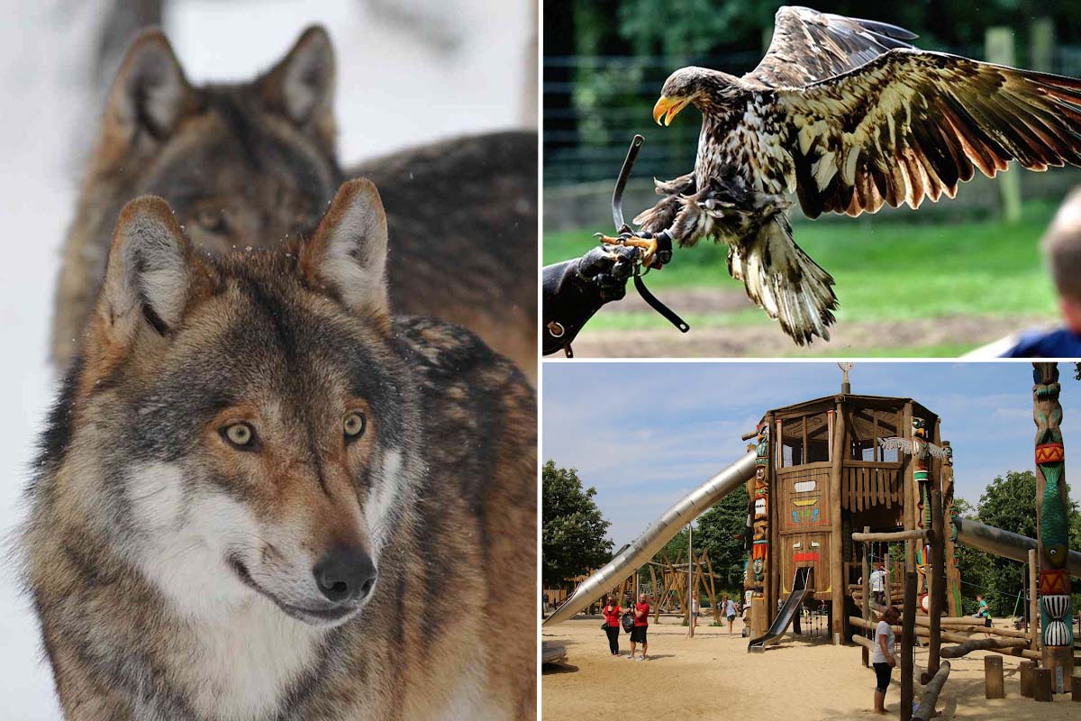 Entreeticket Wildpark Frankenhof