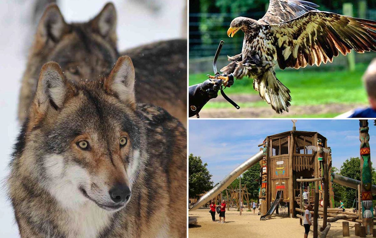 Entreeticket Wildpark Frankenhof