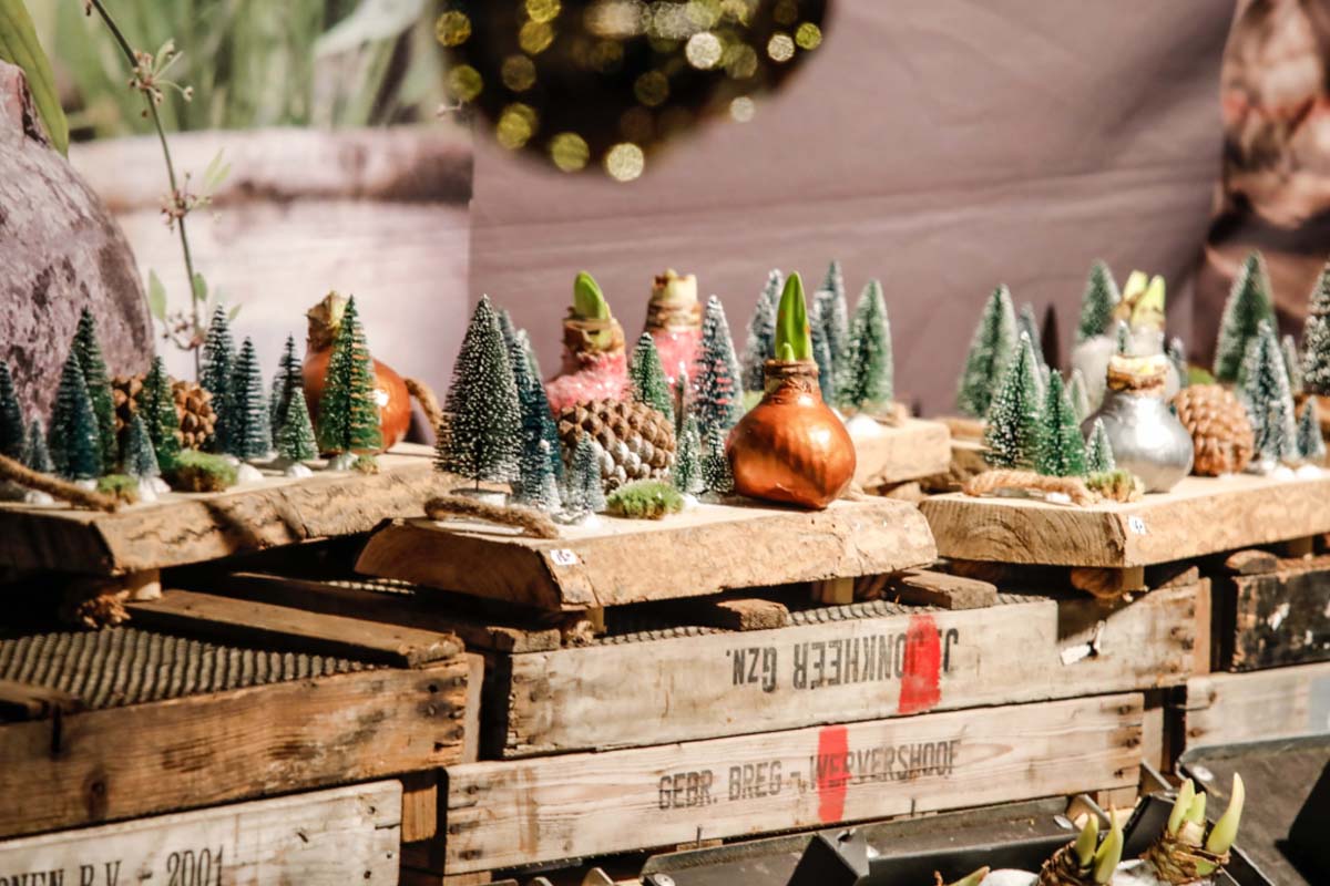 Entreeticket Winter Heerlijckheid bij Kasteel Warmelo