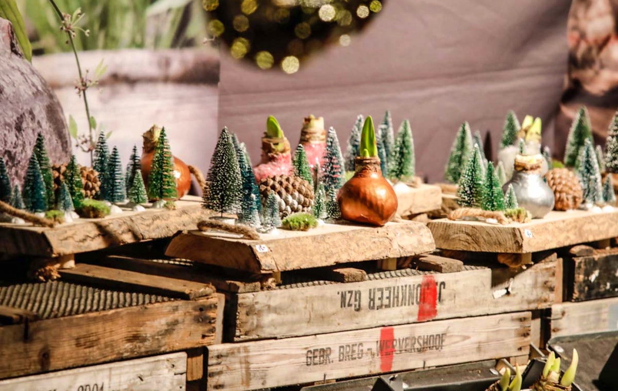 Entreeticket Winter Heerlijckheid bij Kasteel Warmelo