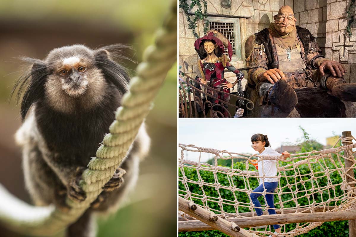 Entreeticket Wonderwereld