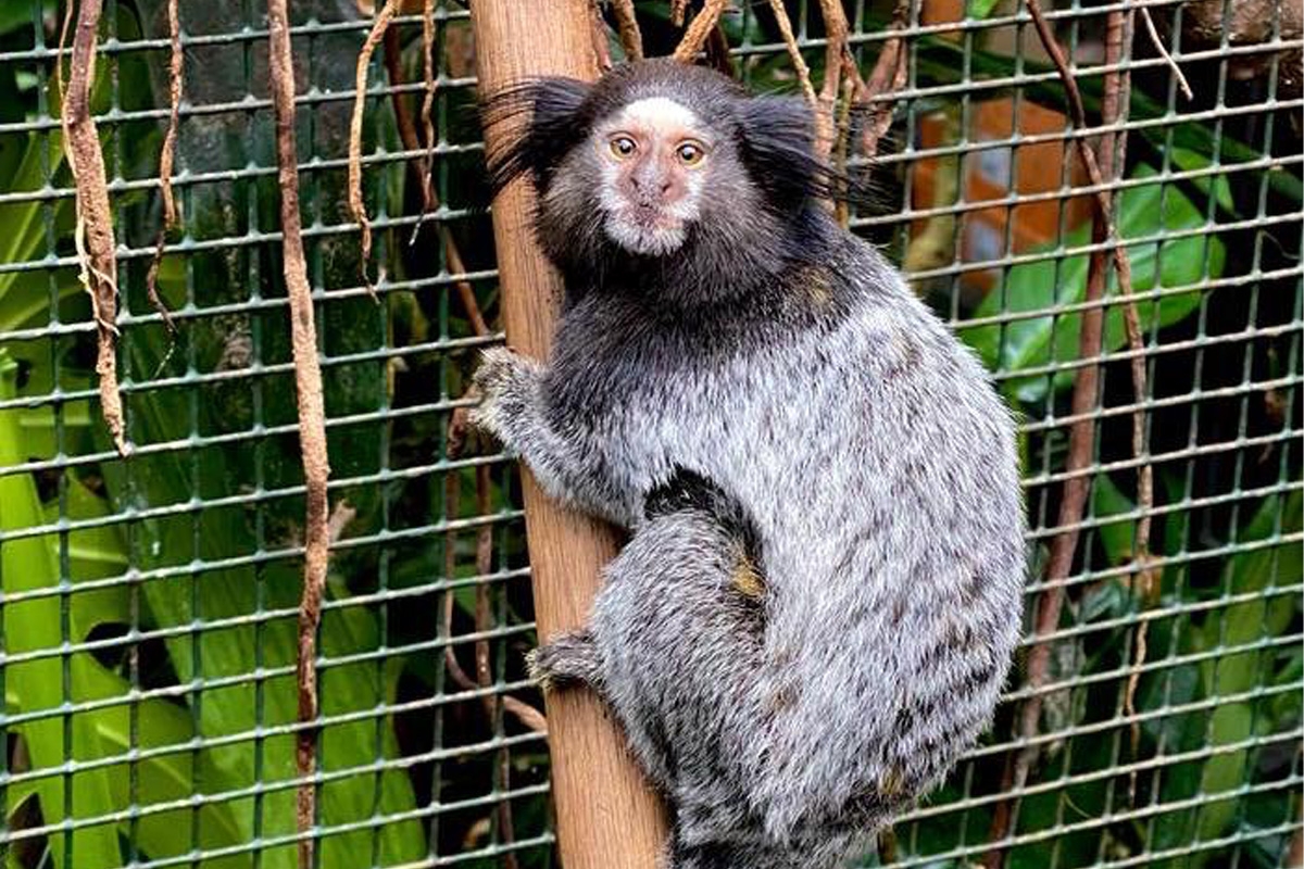 Entreeticket Wonderwereld