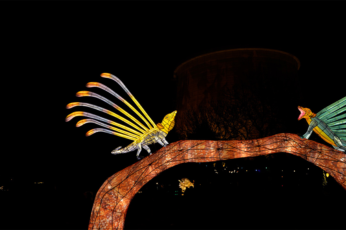 Entreeticket Wunderlight in Wunderland Kalkar