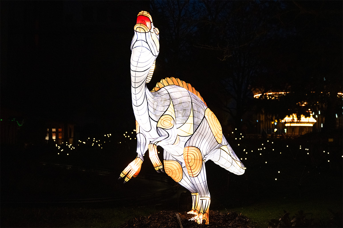 Entreeticket Wunderlight in Wunderland Kalkar